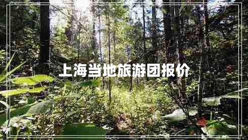 上海當(dāng)?shù)芈糜螆F(tuán)報價
