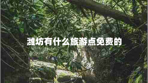濰坊有什么旅游點(diǎn)免費(fèi)的
