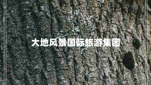 大地風(fēng)景國(guó)際旅游集團(tuán)