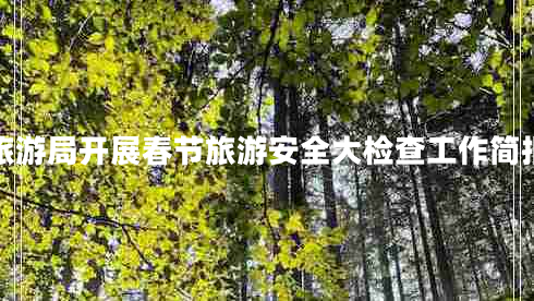 旅游局開展春節(jié)旅游安全大檢查工作簡報