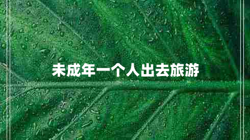 未成年一個人出去旅游