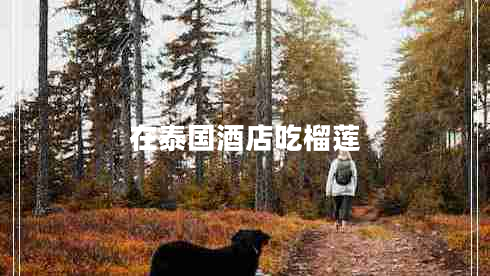 在泰國(guó)酒店吃榴蓮