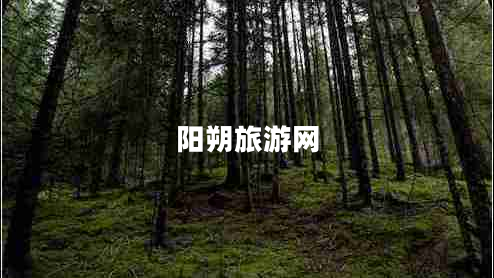 陽朔旅游網