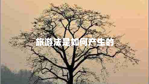 旅游法是如何產生的