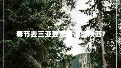 春節(jié)去三亞要準(zhǔn)備哪些東西?