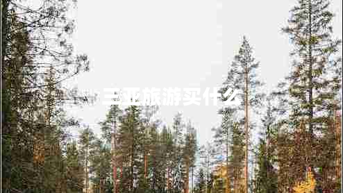 三亞旅游買什么