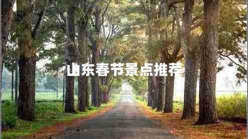 山東春節(jié)景點推薦