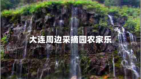 大連周邊采摘園農(nóng)家樂