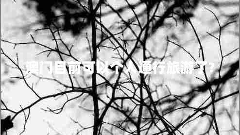 澳門目前可以個(gè)人通行旅游了?