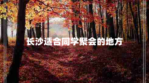 長沙適合同學(xué)聚會的地方