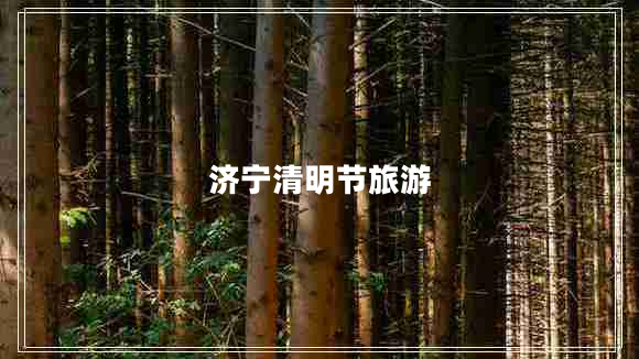濟寧清明節(jié)旅游