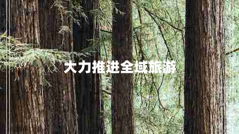 大力推進全域旅游