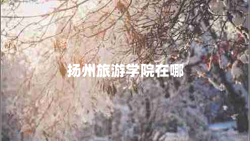 揚(yáng)州旅游學(xué)院在哪
