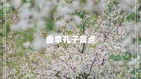 曲阜孔子景點