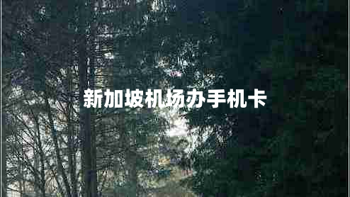 新加坡機(jī)場辦手機(jī)卡