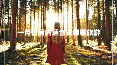 一月份國(guó)內(nèi)適合去哪里旅游