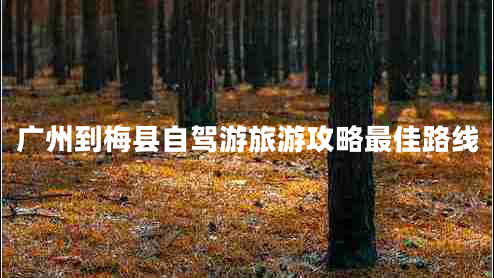 廣州到梅縣自駕游旅游攻略最佳路線