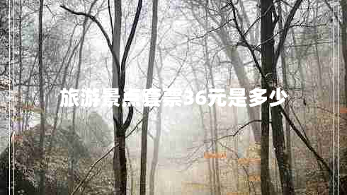 旅游景點套票36元是多少
