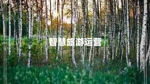 智慧旅游運(yùn)營