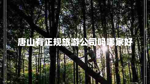 唐山有正規(guī)旅游公司嗎哪家好
