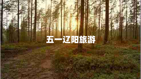 五一遼陽旅游