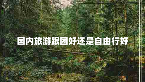 國(guó)內(nèi)旅游跟團(tuán)好還是自由行好