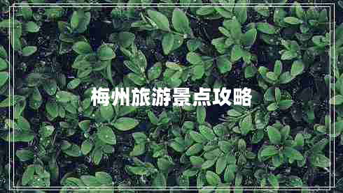 梅州旅游景點攻略