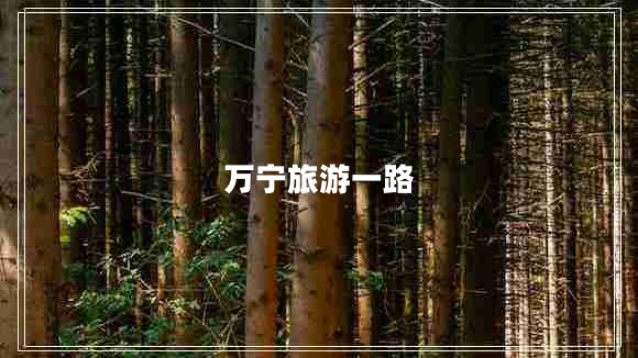 萬寧旅游一路