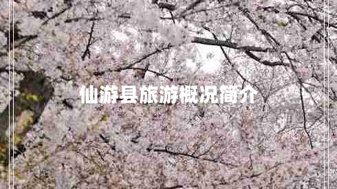 仙游縣旅游概況簡介