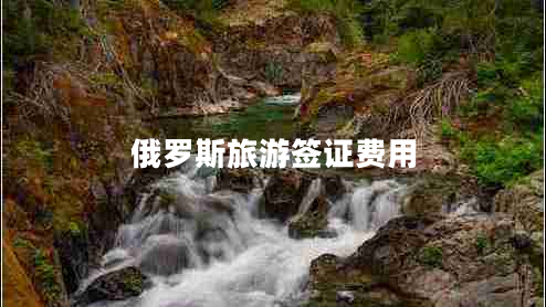 俄羅斯旅游簽證費(fèi)用