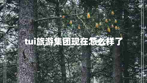 tui旅游集團現(xiàn)在怎么樣了