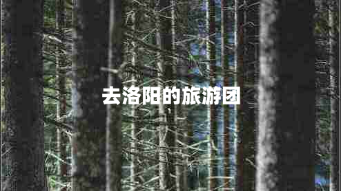 去洛陽的旅游團(tuán)