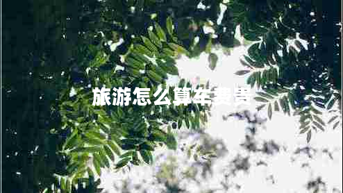 旅游怎么算車費(fèi)貴