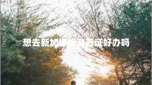 想去新加坡旅游簽證好辦嗎