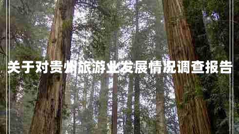 關(guān)于對貴州旅游業(yè)發(fā)展情況調(diào)查報告