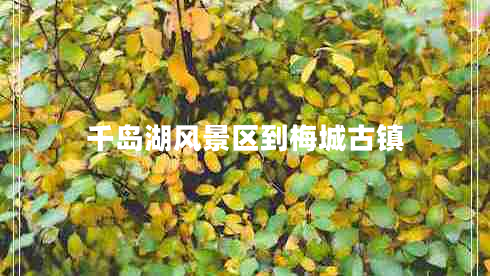 千島湖風(fēng)景區(qū)到梅城古鎮(zhèn)