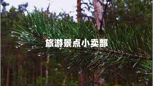 旅游景點(diǎn)小賣部