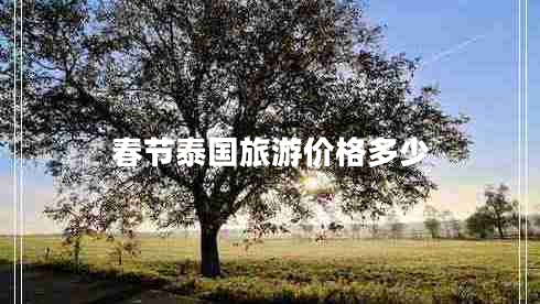 春節(jié)泰國(guó)旅游價(jià)格多少