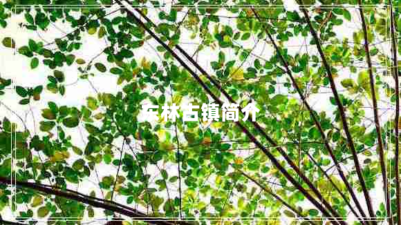 東林古鎮(zhèn)簡介