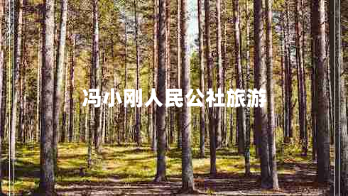 馮小剛?cè)嗣窆缏糜? title=