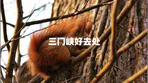 三門峽好去處