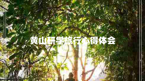 黃山研學(xué)旅行心得體會