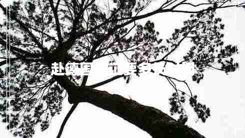 赴德國(guó)簽證要多長(zhǎng)時(shí)間