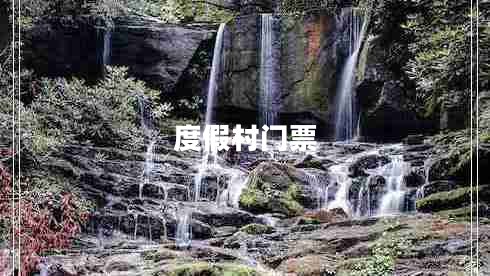 度假村門票