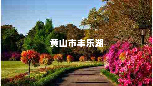 黃山市豐樂湖