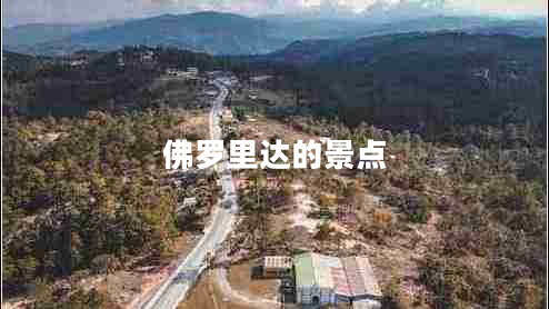 佛羅里達的景點