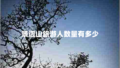 景邁山旅游人數(shù)量有多少