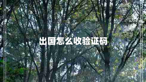 出國(guó)怎么收驗(yàn)證碼