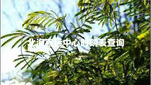 北?？瓦\(yùn)中心時(shí)刻表查詢