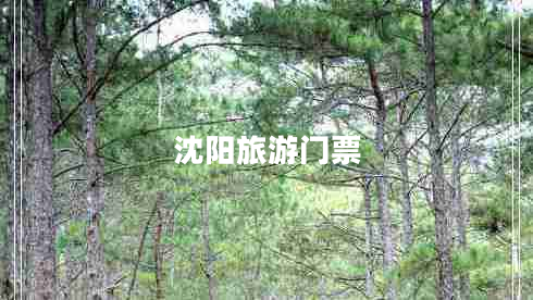 沈陽(yáng)旅游門票